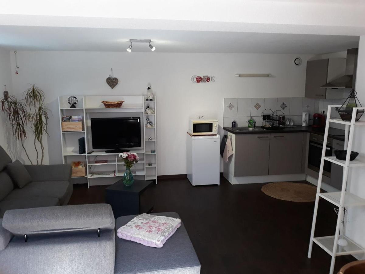 Le Nid Alsacien Apartment Horbourg Екстериор снимка