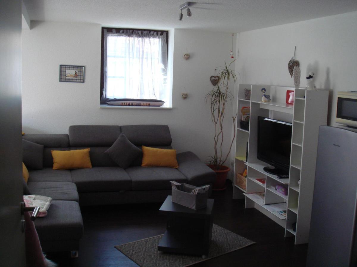 Le Nid Alsacien Apartment Horbourg Екстериор снимка
