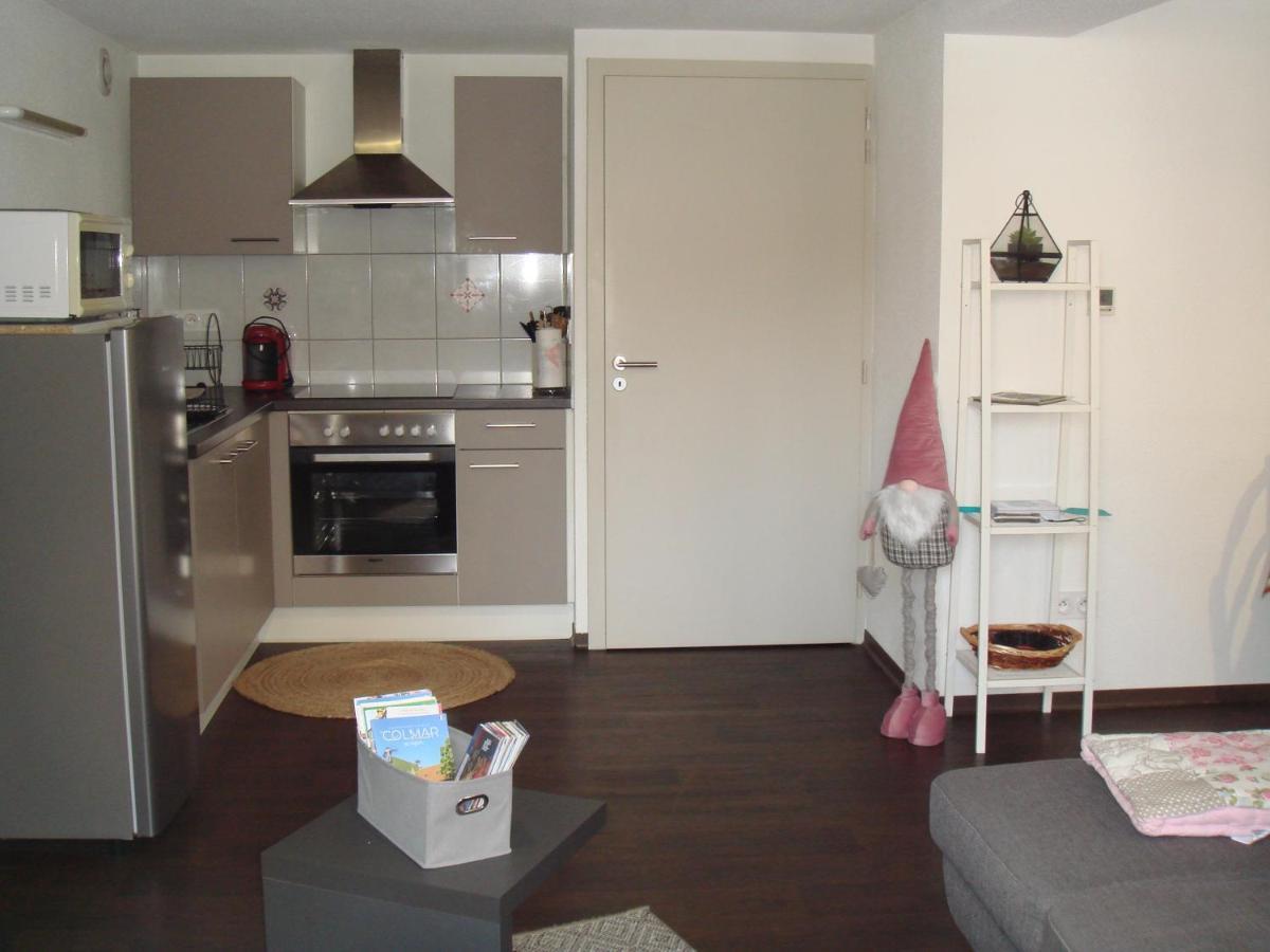 Le Nid Alsacien Apartment Horbourg Екстериор снимка
