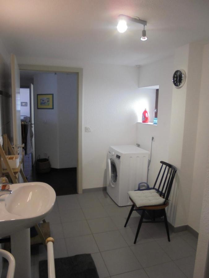 Le Nid Alsacien Apartment Horbourg Екстериор снимка